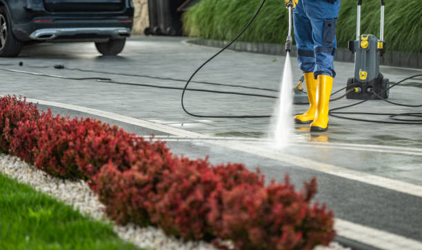 Best Animal Enclosure Cleaning  in Williamsburg, VA